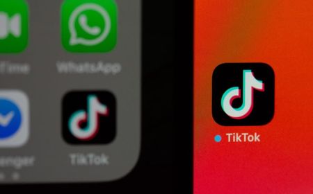 Cara Menghilangkan Filter Rotoscope TikTok: Mudah Diaplikasikan, Begini Langkah-langkahnya