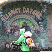 Kabar Baik Buat Warga Jakarta, Taman Ragunan Kembali Dibuka Sabtu Pekan Ini, Tapi...