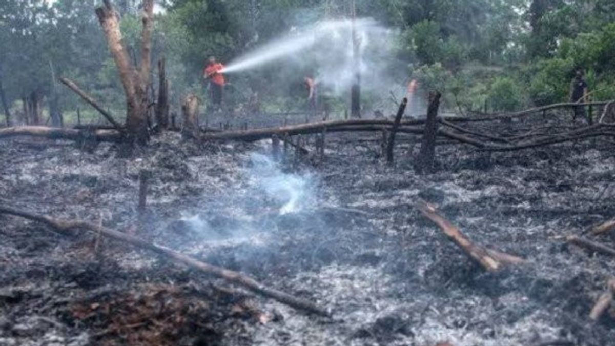 توقع حرائق الغابات ، ميزانيات حكومة مقاطعة كاليمانتان الوسطى 100 مليار روبية إندونيسية