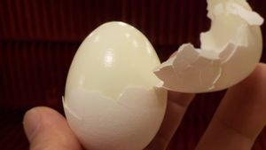 卵を剥がしやすいように沸騰させる方法、秘密は食用油にあります