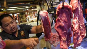 ディスペルタンタンジェランリージェンシーはイード・アル・フィトルまで安全な牛肉の可用性を保証します