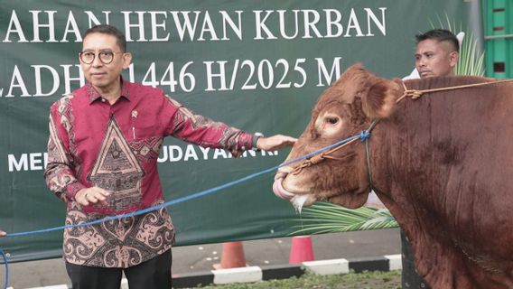 Fadli Zon Serahkan Hewan Kurban Iduladha 2025 dari Kantor Kementerian Kebudayaan, Ini Jumlahnya 
