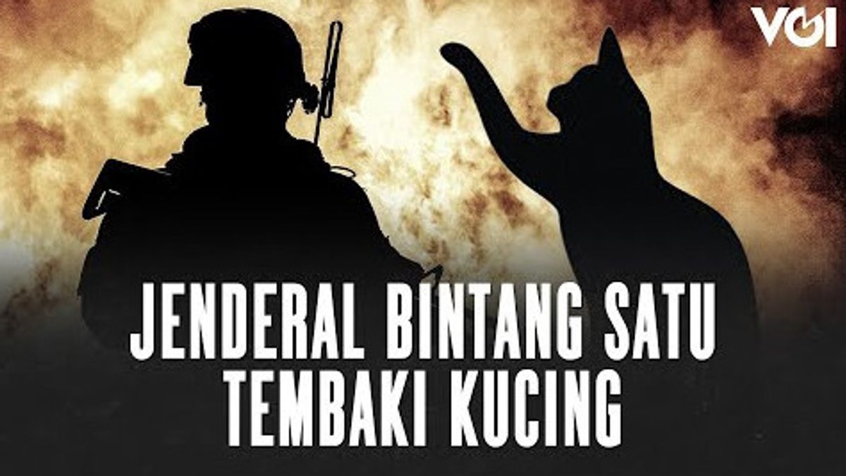 VIDEO: In Order To Keep The Environment Clean, This One-star General Shoots A Cat At The Bandung Military Command Center