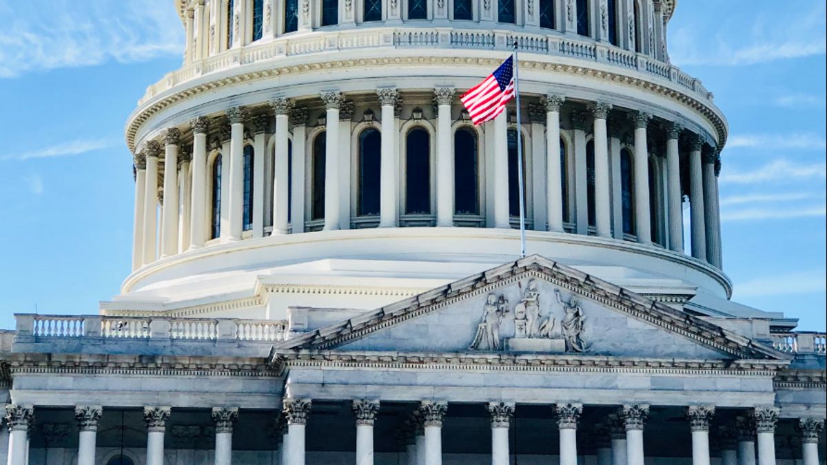 Nazi Honorary Marines During The Attack On The US Capitol Building Sentenced To Nearly 5 Years In Prison