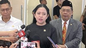  Puan Buka Peluang Bentuk Pansus Untuk Evaluasi Haji 2025