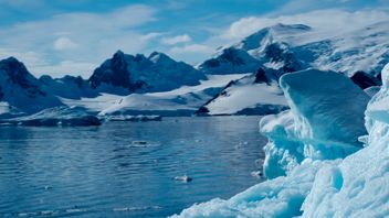 Scientiste : Les plaques d'oreille sont typiques, surtout dans le pôle sud de l'Antarctique