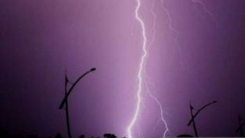 Middle-aged Woman Dies By Lightning Strike While Preparing Food For Pigs