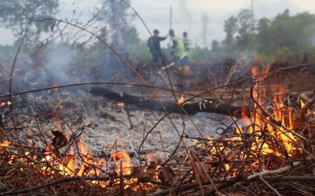 Dalam Sehari, Lahan Terbakar di Palangka Raya Seluas 9 Hektare