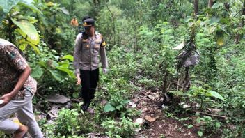 ronyme : La découverte d'un cadre dans la forêt de Sawoo, l'identité de la victime reste mystérieuse