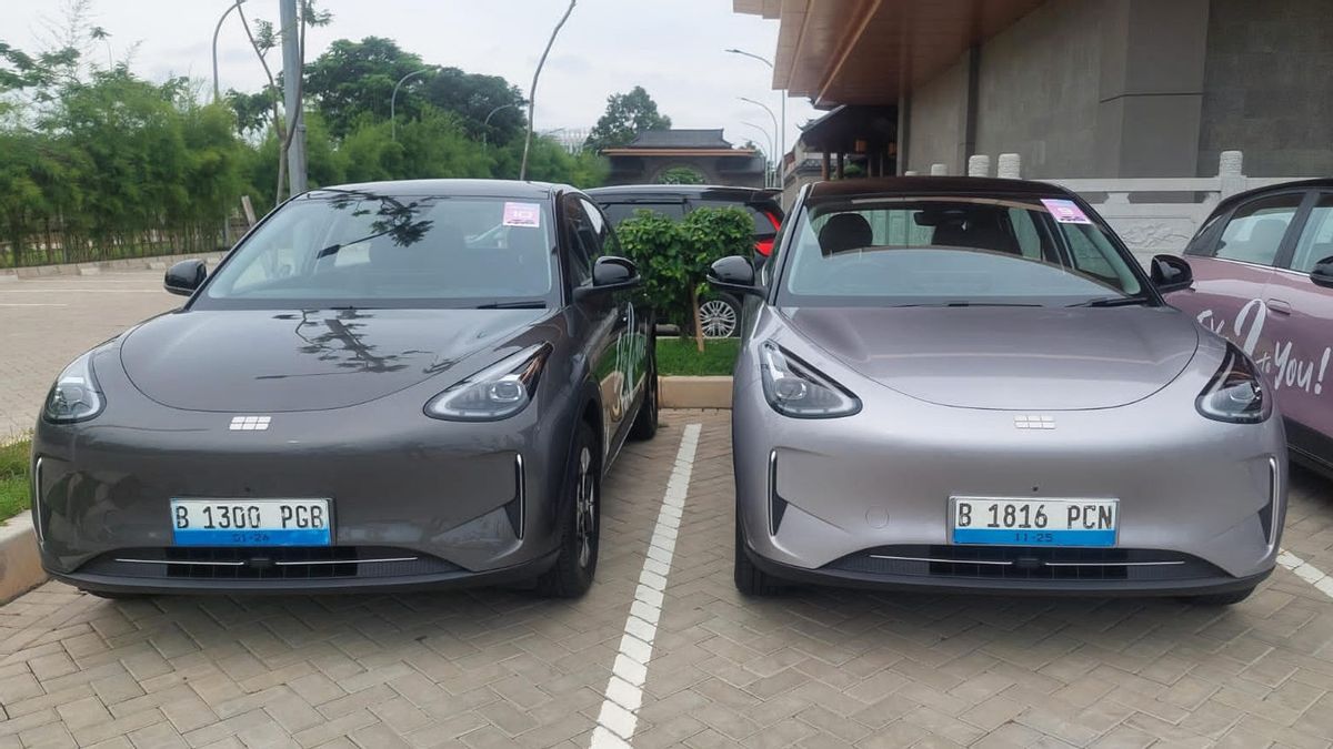 ليس فقط فيضانات الطلبات ، بل يزعم أيضا أن Geely EX2 يحمل TKDN تصل إلى 46.5 في المائة