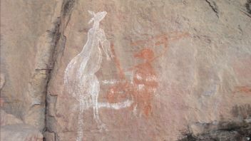 澳大利亚科学家发现最古老的岩石艺术的17，300年前的袋鼠图像