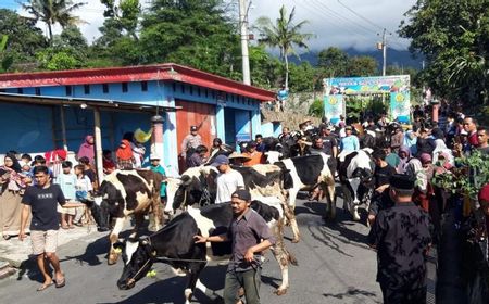 Diberi Minyak Wangi, Ratusan Sapi Diarak Sambut Lebaran Ketupat di Boyolali