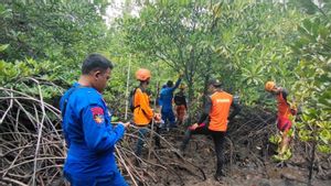 Warga Gorontalo Utara yang Hilang di Hutan Bakau Belum Ditemukan