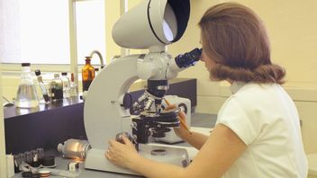 تاريخ اكتشاف الخلايا: من روبرت هوك إلى رودولف فيرشو