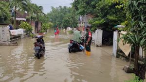 8 Desa di Gresik Tergenang Banjir Akibat Luapan Kali Lamong