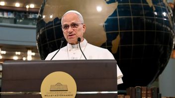 البابا ليو الرابع عشر يدعو إلى احترام سيادة وحماية حقوق الإنسان في فنزويلا