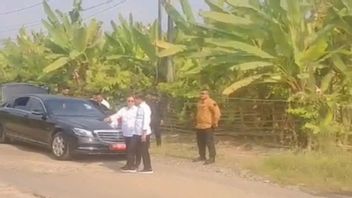 Temukan Banyak Jalan Berlubang dan Rusak di Lampung Selatan, Jokowi Minta PUPR Segera Perbaiki 