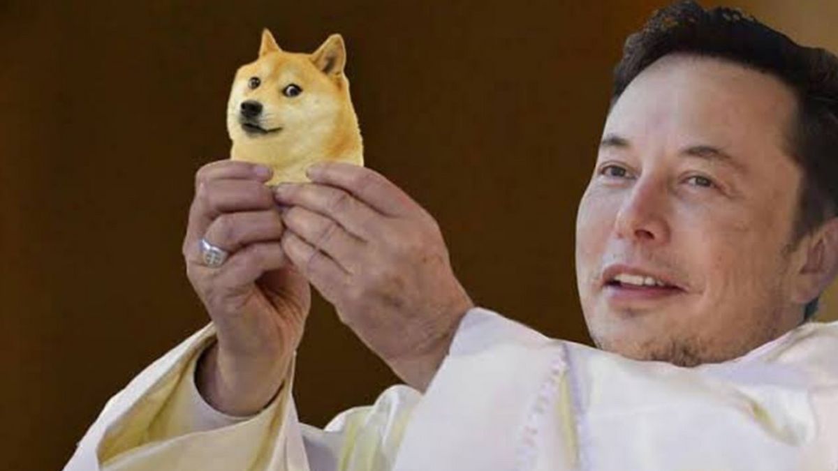 Elon Musk déclare D.O.G.E en X, le prix de Dogecoin ne réagit pas