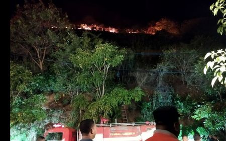 Cegah Kebakaran, Wisatawan Diingatkan Tak Merokok di Bukit Labuan Bajo