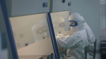 rénération cellules souches à exose, une nouvelle révolution dans la médecine régénérative