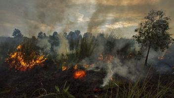BPBD Riau、TMCと水爆撃ヘリコプターのBNPBへの支援を要請