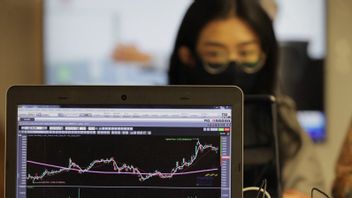 Real Investor Growth of the Capital Market Needs to Be Strengthened to Prevent Manipulative Actions