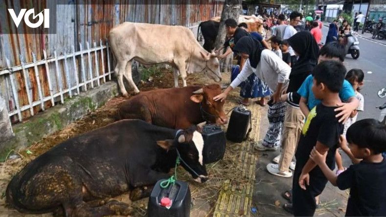 Tips from KPKP DKI Jakarta Choosing Animal Sacrifice