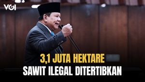 Pemerintah Sudah Tertibkan 3,1 Juta Hektare Kebun Sawit Ilegal, Prabowo: Berani Lawan, Kita Hadapi