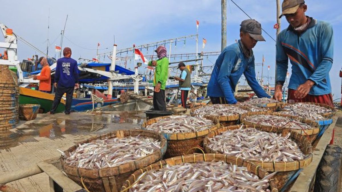 BPJamsotek Catat Ada 486 Ribu Nelayan Terlindungi Jaminan Sosial Ketenagakerjaan