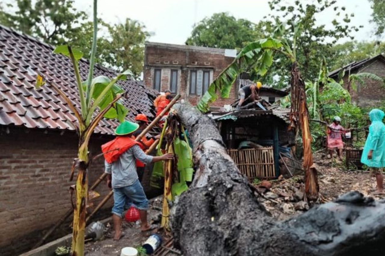 6 Houses In Bantul Damaged By Falling Trees During Heavy Rain