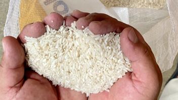 BPS Catat Rerata Harga Beras Penggilingan hingga Eceran Naik, Segini Besarannya
