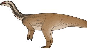 Dinosaurus Baru Ditemukan di China, Ungkap Evolusi Pemakan Tumbuhan Raksasa