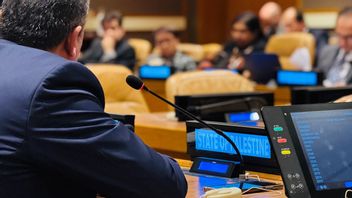 Kallas Peringatkan Perpecahan Uni Eropa Terkait Gaza Merusak Kredibilitas Blok Tersebut