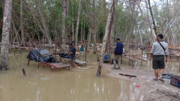 West Bangka Police Controlling Illegal Tin Mining Activities