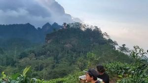 Berita Kulon Progo: Objek wisata Kulon Progo Siap Menyambut Wisatawan Saat Lebaran 2022