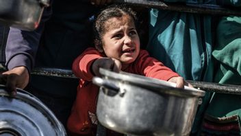 Kelaparan Menyebar ke Seluruh Gaza