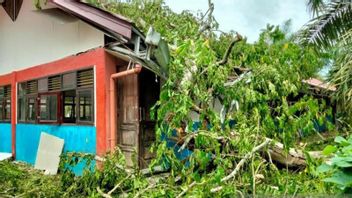 木々によって損傷を受けたSDNクタブランアチェの2つの学習室、教育事務所はAPBKを通じて修復することを約束します