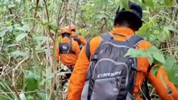 Bangkai Helikopter Ditemukan Terbakar, 8 Korban Dievakuasi dari Hutan Kalsel