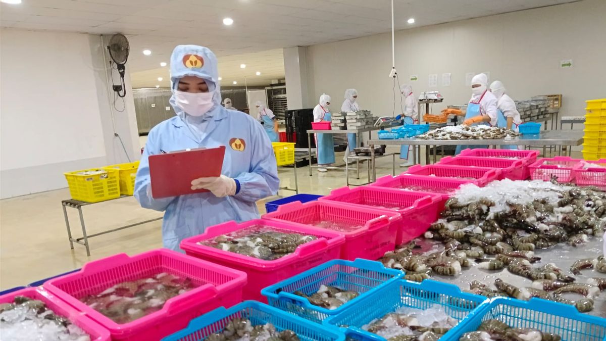 DKP Kaltara retrace le potentiel d’hiliration des produits de pêche, aérienne et de marine le plus minimisés