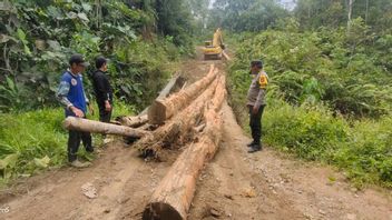 Anggota Pospol dan Warga Perbaiki Jembatan Ambruk di Sungai Boh Akses Perbatasan Malinau Berangsur Pulih