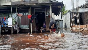 Kalsel Tunggu KLH Audit Perusahaan Tambang Diduga Sebabkan Banjir