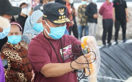 Kalteng Bakal Miliki Shrimp Estate, Gubernur Harap Jadi Model Nasional dan Pulihkan Ekonomi