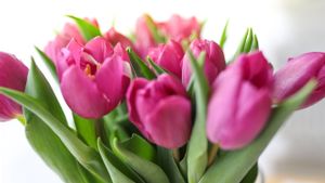 Kado untuk Orang Spesial, 7 Macam Buket Bunga Hari Valentine