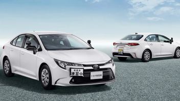 Toyota Turns on the Manual Corolla in Japan, Comes with 5 Pedals