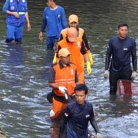 Pramono: Penangkapan Ikan Sapu-sapu Depan Plaza Indonesia karena Ancam Kesehatan