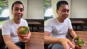 Bikin Penasaran Netizen, Ini Detail Gado-Gado Bentuk Pot yang Dimakan Raditya Dika