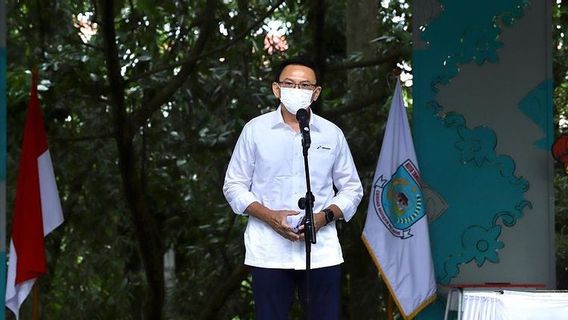 Ahok Respons Pj Gubernur DKI Buka Lagi Meja Pengaduan: Semoga Banyak Warga Rasakan Manfaatnya