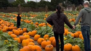 Jelang Halloween, Meghan Markle Pamer Kebahagiaan Bareng Keluarga di Kebun Labu