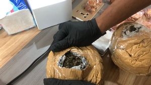 Bea Cukai Batam Temukan 765 Gram Ganja Diselundupkan di Kaleng Makanan