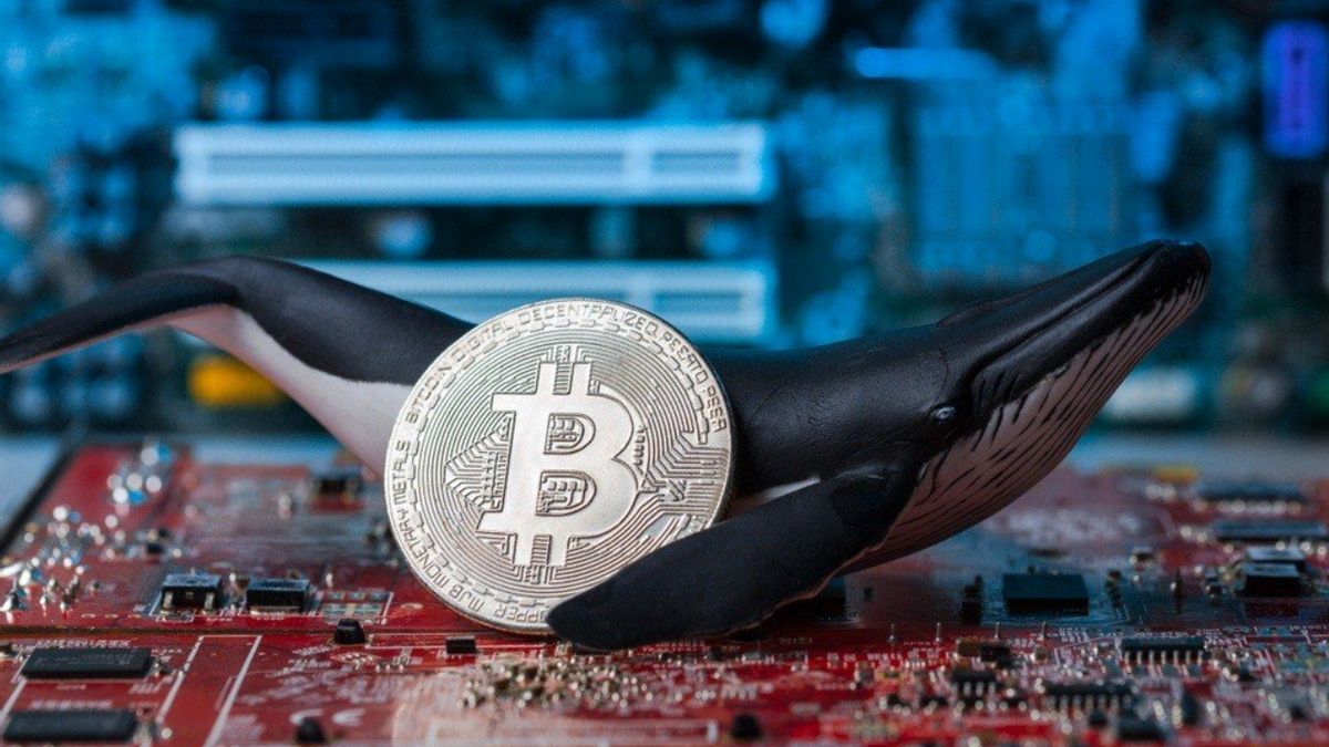 Crypto Market Recovers, Bitcoin Price Rises After Whale Nyerok BTC